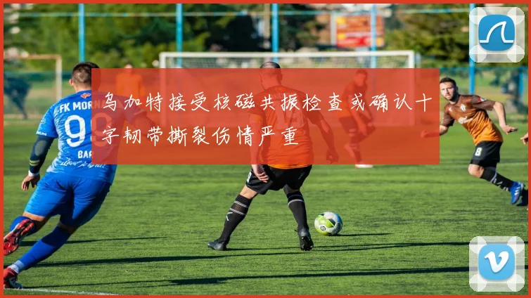 乌加特接受核磁共振检查或确认十字韧带撕裂伤情严重