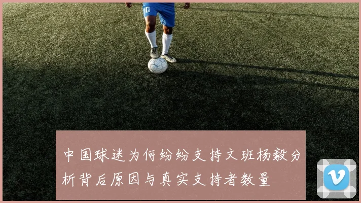 中国球迷为何纷纷支持文班杨毅分析背后原因与真实支持者数量